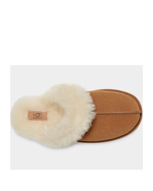 Ugg Brown Round Head Slippers