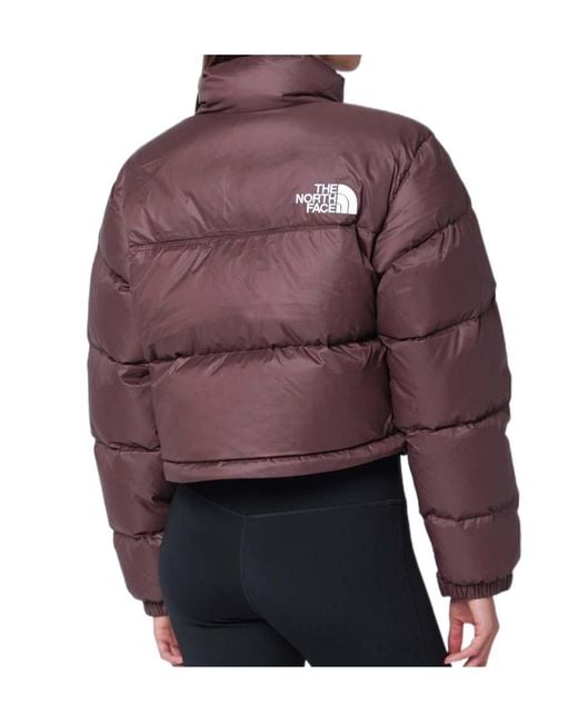 The North Face Blue Nuptse Cropped Padded Jacket
