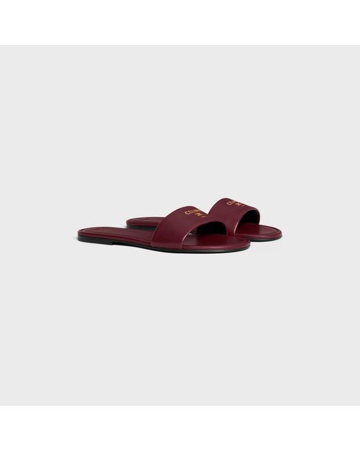 Céline Purple Coast Mule