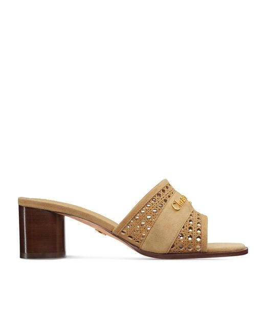 Dior Brown D-Lane High Heel Sandals