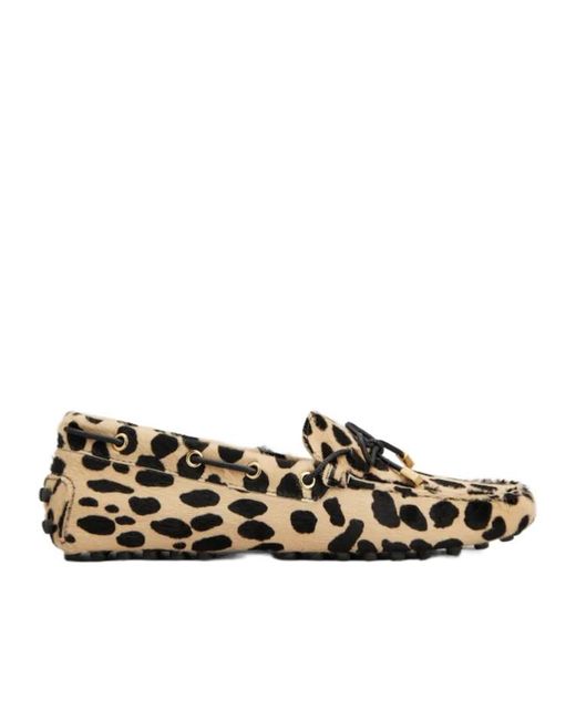 Tod's Multicolor Gommino Loafers