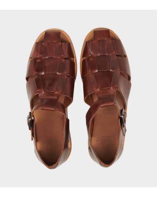 Paraboot Brown Buckle Sandals for men