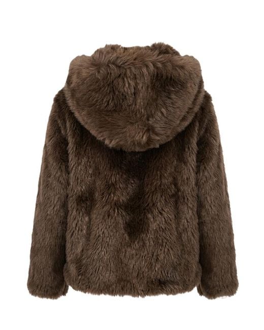 P.A.R.O.S.H. Brown Zip-Up Hooded Jacket