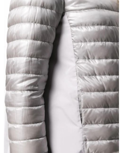 Herno Gray Ladybug Zip-Up Padded Jacket