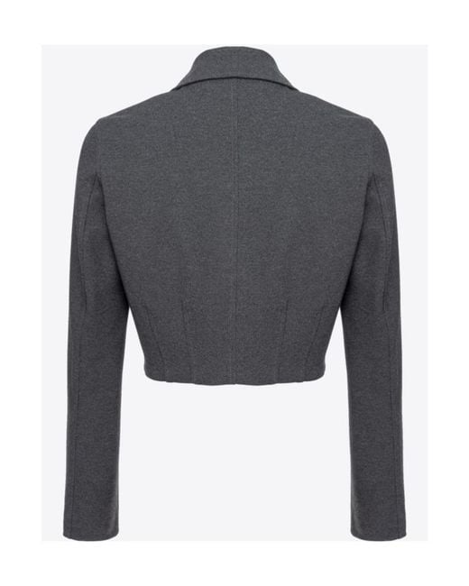 Pinko Gray Doccia Short Single-Breasted Stitched Jacket