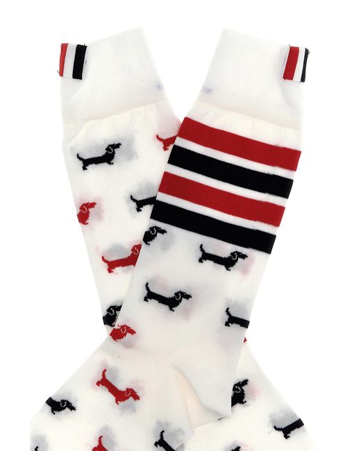 Thom Browne White 4-Bar Hector Socks