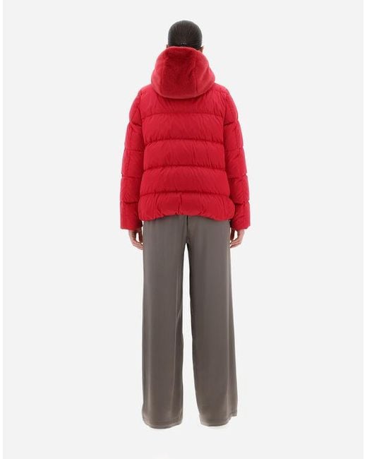 Herno Red Hooded Padded Jacket