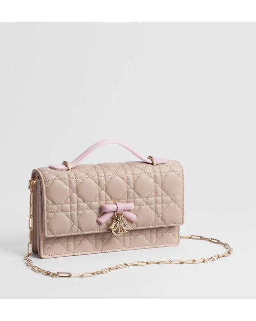 Dior Brown My Mini Bag