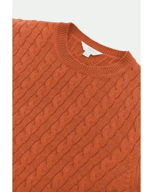 Malo Brown Crew Neck for men