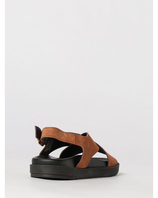 Alohas Brown Nico Sandals