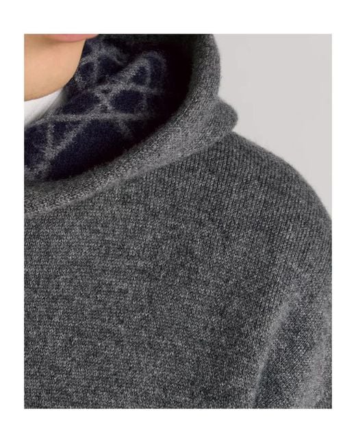 Dior Gray Icons Hooded Sweatshirt for men