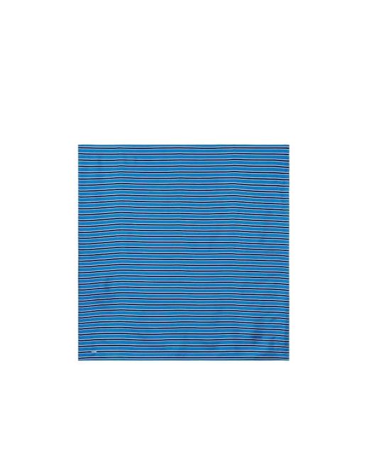 Totême  Blue Striped Silk Scarf