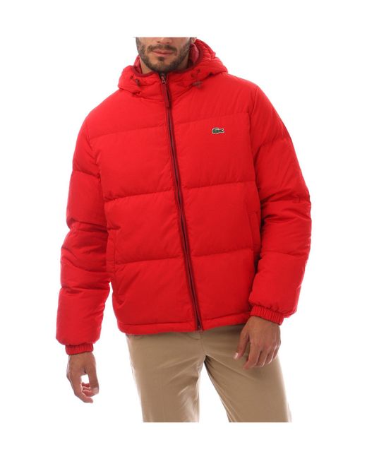 Lacoste Red Classic Warm Down Jacket for men