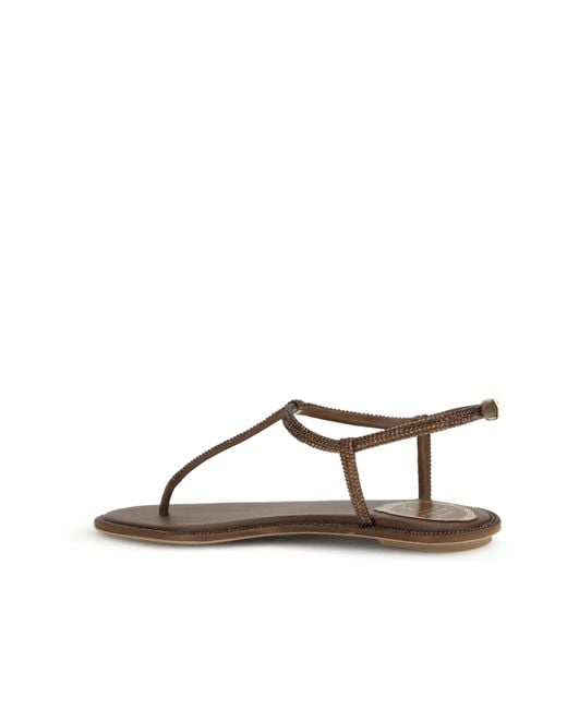 Rene Caovilla Brown René Caovilla Diana Embellished Thong Sandals