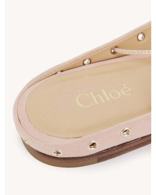 Chloé Multicolor Chloé Ghillies Almond Toe Ballerina Shoes