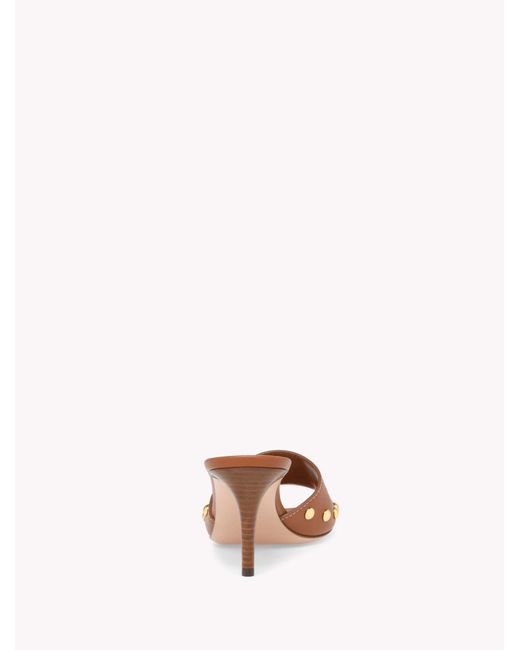 Gianvito Rossi Brown Avelin