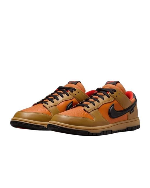 Nike Brown Gore-Tex Dunk Low-Top Trainers for men