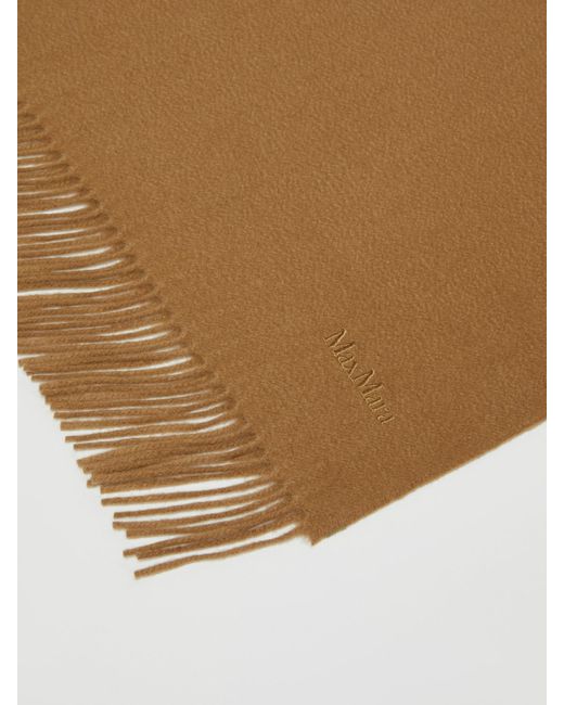 Max Mara Brown Cashmere Stole With Embroidery And Fringing