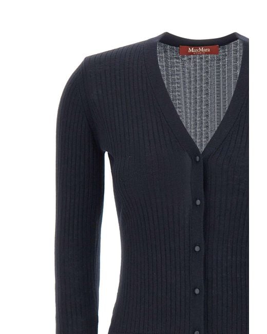 Max Mara Blue Studio Potus Button-Up V-Neck Cardigan
