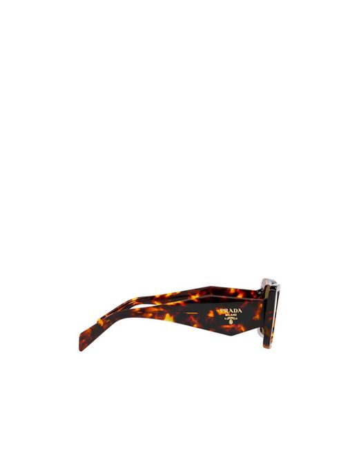 Prada Multicolor Eyewear Cat-Eye Sunglasses