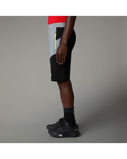 The North Face Gray Felik Shorts for men
