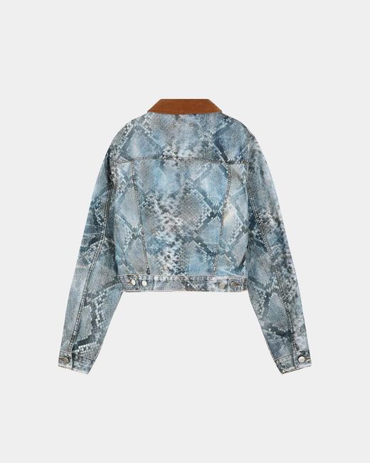ANDERSSON BELL Blue Python Gradient Print Denim Jacket