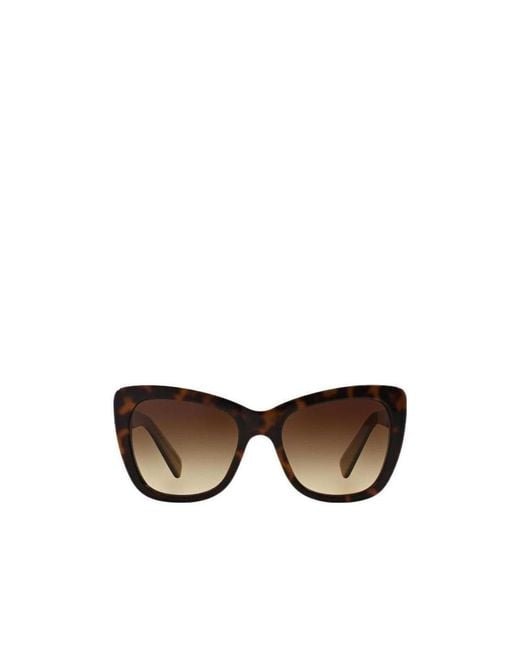 Dolce & Gabbana Multicolor Logo Sunglasses