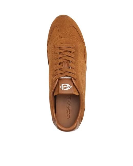COACH Brown Lace-Up Suede Sneakers