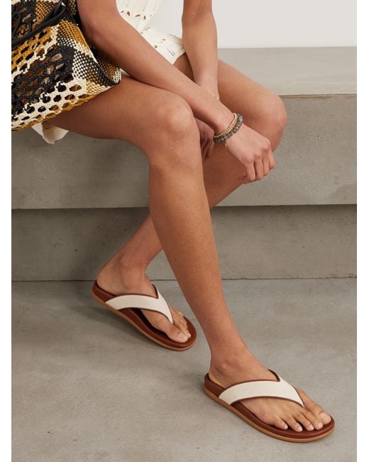 Ancient Greek Sandals Brown Round-Toe Flip-Flops