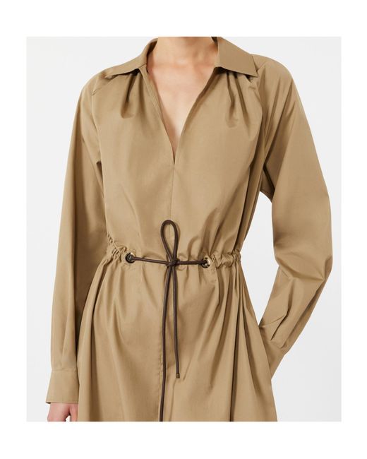 Max Mara Natural Mxmpedaggi Flared Poplin Dress