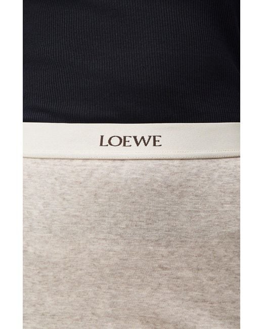Loewe Gray Skirt
