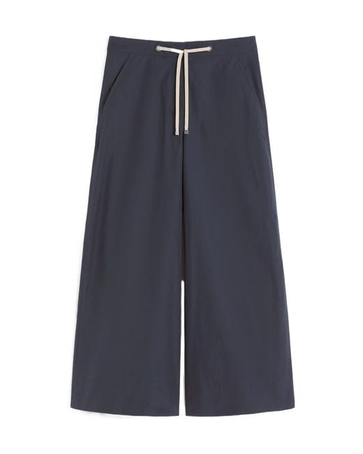 Max Mara Blue 'S Gufo Drawstring Wide-Leg Pants