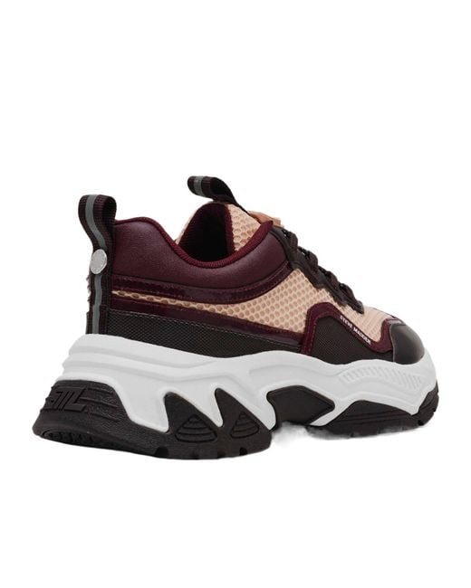 Steve Madden Brown Color-Block Mesh Dad Sneakers