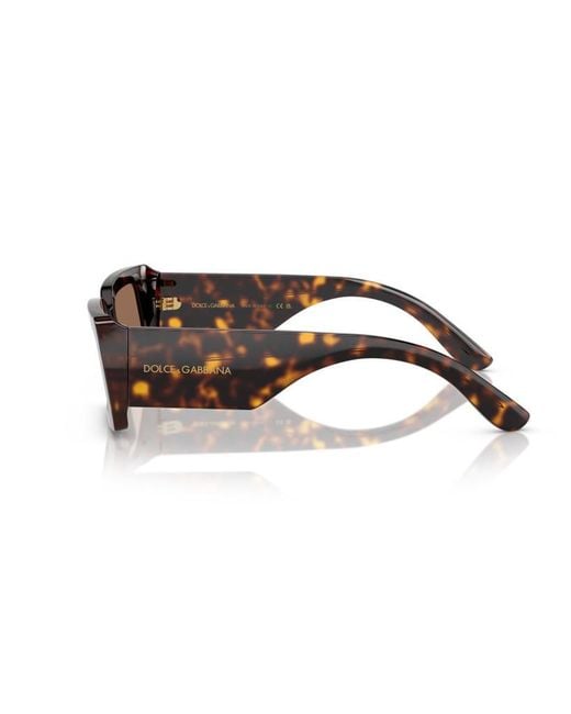 Dolce & Gabbana Brown Eyewear Rectangular Frame Sunglasses