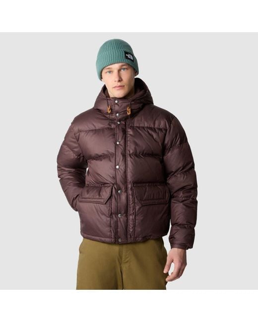 The North Face Brown '71 Sierra Down Jacket for men