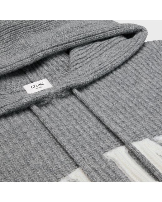 Céline Gray Hooded Sweater for men