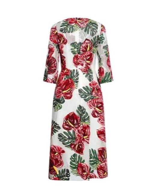 Dolce & Gabbana Red Floralprint Dress