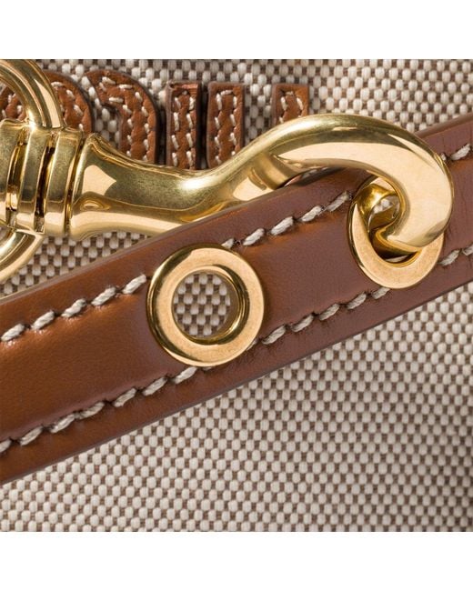 Miu Miu Brown Aventure Tote Bag