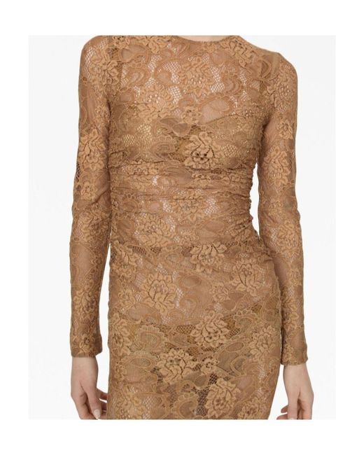 Dolce & Gabbana Brown Chantilly-Lace Crewneck Midi Dress