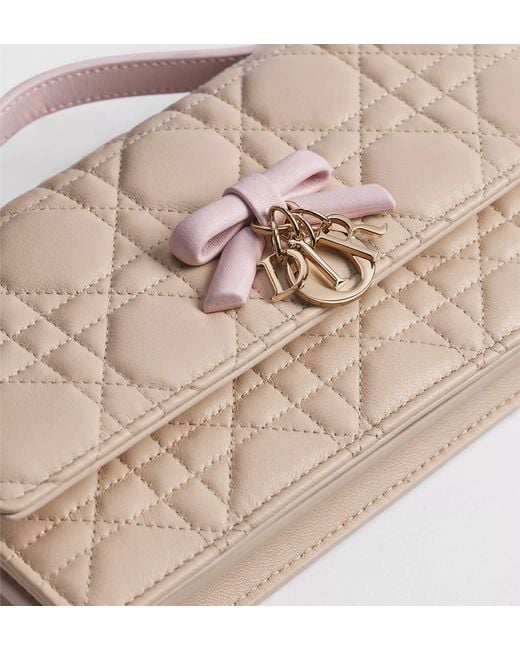 Dior Brown My Mini Bag