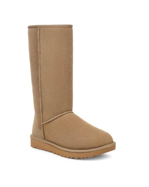 Ugg Brown Ugg Classic Tall Ii Boots Antilope