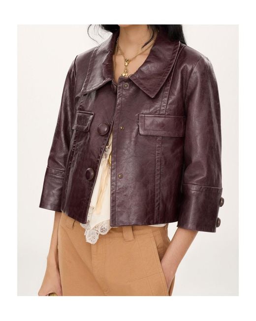 Chloé Brown Cropped Jacket
