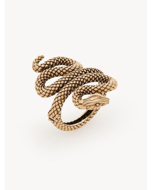 Chloé Metallic Chloé The Chloé Snake Bracelet