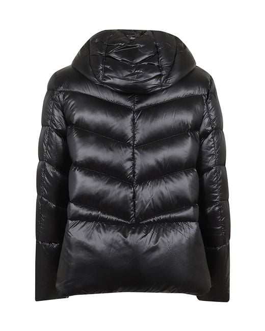 Herno Black Down Jackets