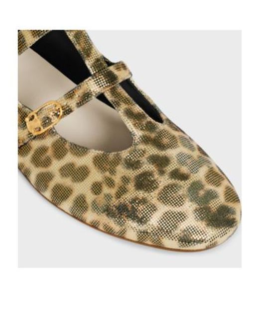 Céline Brown Les Ballerines Babies