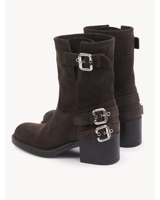 Chloé Brown Chloé Dakota Ankle Boots