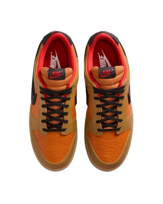 Nike Brown Gore-Tex Dunk Low-Top Trainers for men