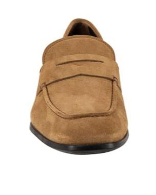 Tod's Brown Penny Suede Loafers for men
