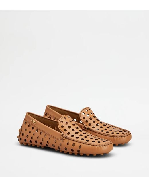 Tod's Brown Gommino Loafers