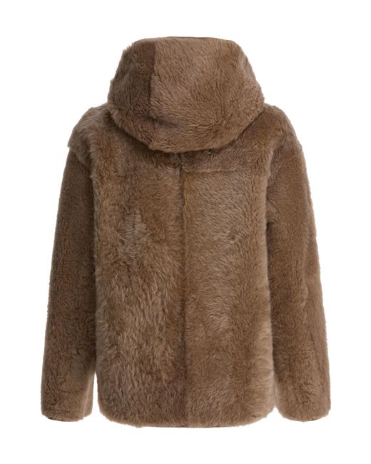 FURLING BY GIANI Brown Hooded Zip Jacket